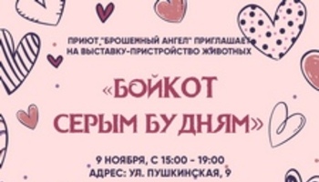 Выставка-пристройство «бойКОТ серым будням»
