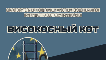 Выставка-пристройство 