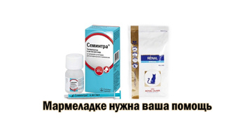 Мармеладке нужна ваша помощь