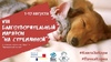 VIII благотворительный марафон 